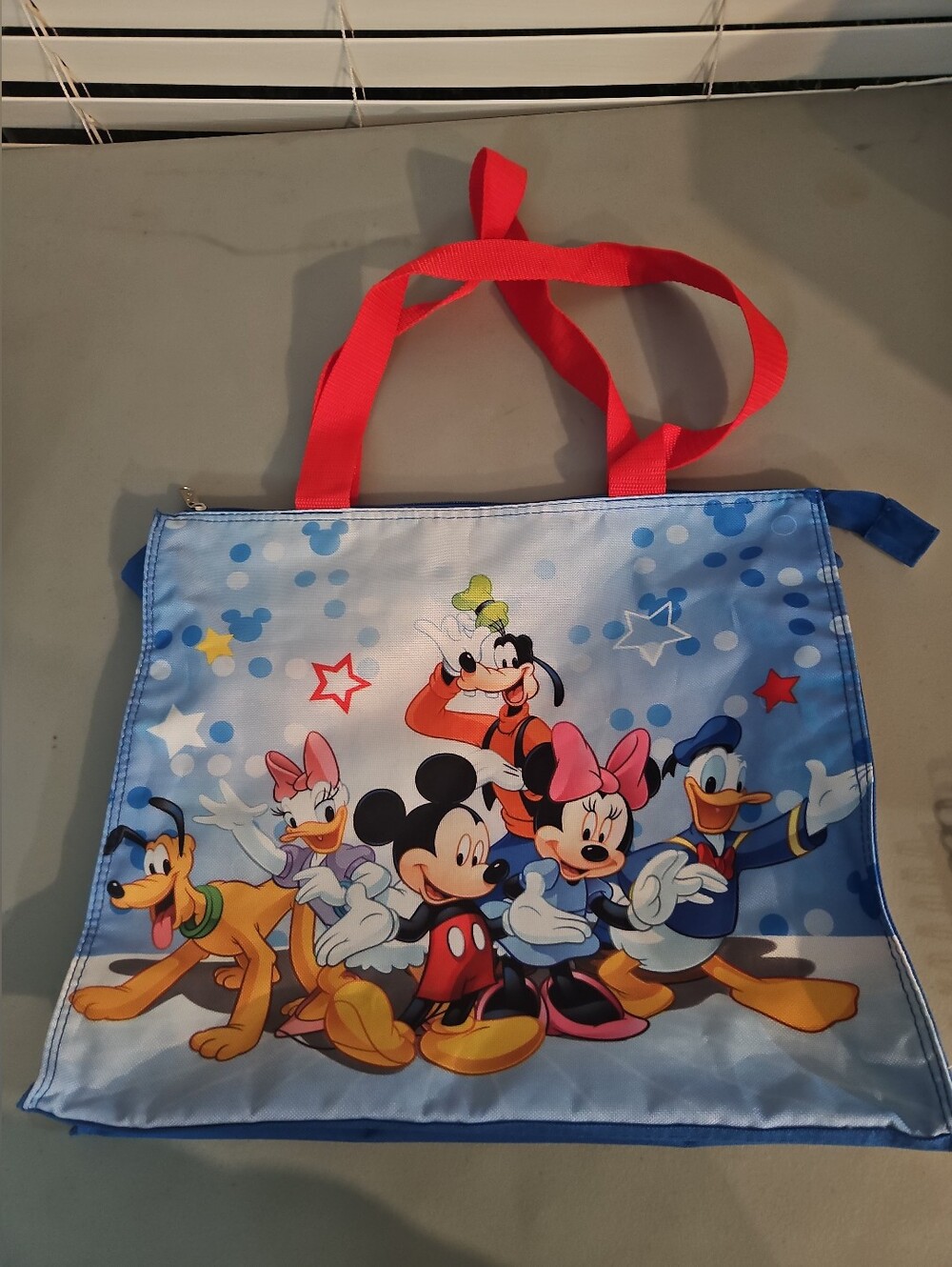 Vintage 2011 Disney Mickey and Friends Zippered Tote Bag Grupo Ruz Mexico Blue